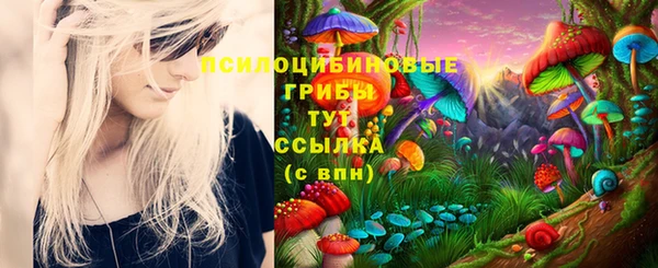 прущая мука Алзамай